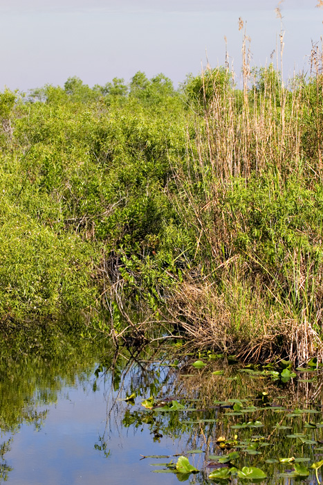 [Taylor Slough]