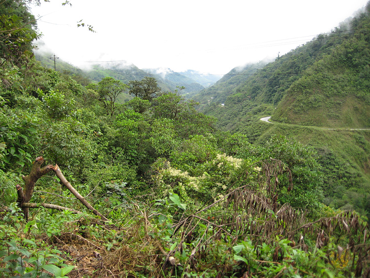 [View from Old Zamora Road]