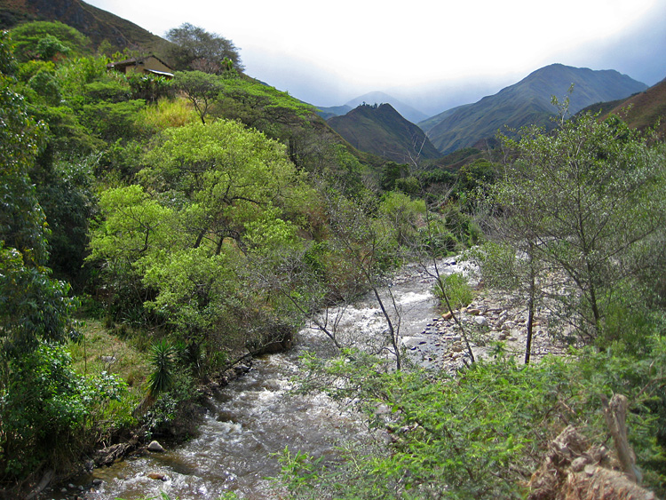 [Roadside River]