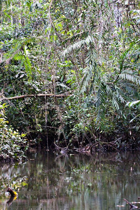 [On the Creek]