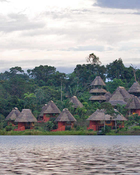 [Napo Wildlife Center Lodge]