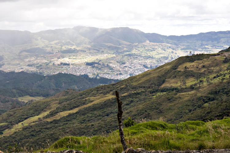 [Loja]