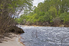 View from Beach