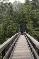 Swinging Bridge