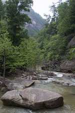 River Level View