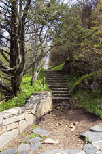 Waterrock Knob Trail