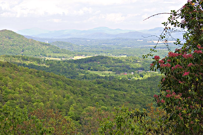 [Blue Ridge View]