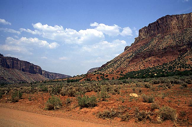 [Dolores River Canyon]