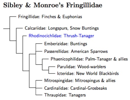 Sibley and Monroe's Fringillidae: TiF Family Tree