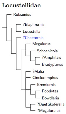 Click for Locustellidae species tree