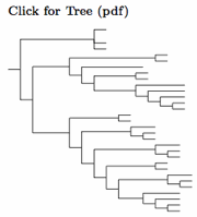 Click for Passerellidae I tree: Spizellini, Ammodramini & Chlorospingini