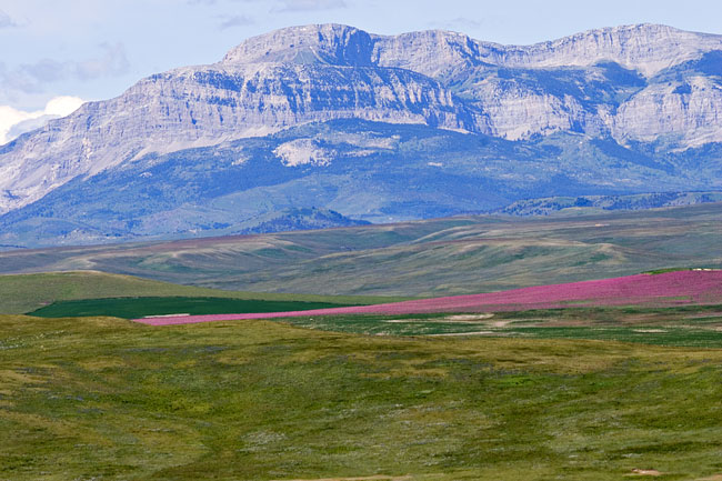 [Rocky Mountain Front]