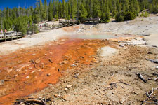 Echinus Geyser