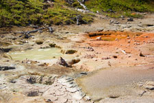 Artist's Paint Pots