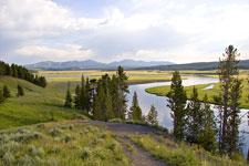 Yellowstone River