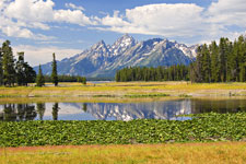 Tetons and Heron Pond