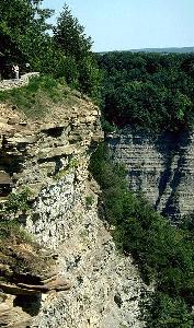 [Letchworth Gorge]