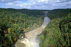 [View from Trestle]